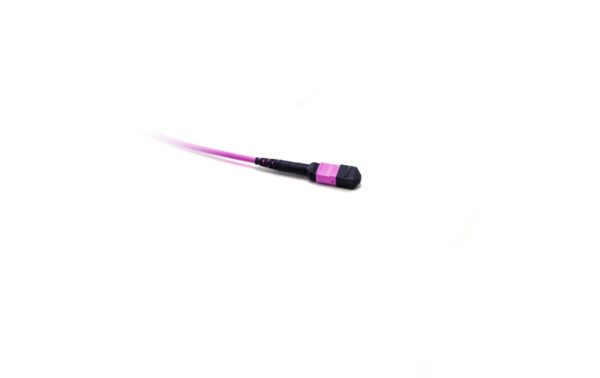 Lightwin LWL MTP Patchkabel 12-fasrig 01x MTP(F)-01x MTP(F), OM4, 1M kaufen Schweiz | Mediatech.ch