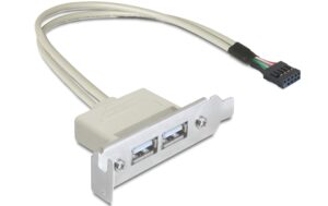 Delock Slotblech USB 2.0 Pin Header 1 x 9 Pin intern > 2 x USB 2.0-A LP