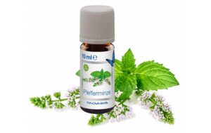 Venta Bio-Duftöl Pfefferminze 3 x 10 ml kaufen Schweiz | Mediatech.ch
