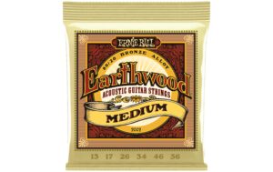Ernie Ball 2002 Earthwood Bronze Akustik Saitensatz, Medium 13-56 kaufen Schweiz | Mediatech.ch