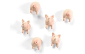 Trendform Magnete Piggy 6er Set, pink