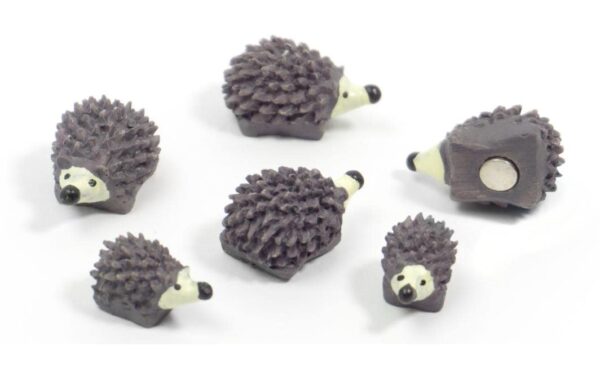 Trendform Magnete Hedgehog 6er Set, grau kaufen Schweiz | Mediatech.ch
