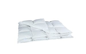 Albis Arven 600 Ganzjahresdaunenduvet 160 x 210 cm, Füllgewicht 750+150 gr.