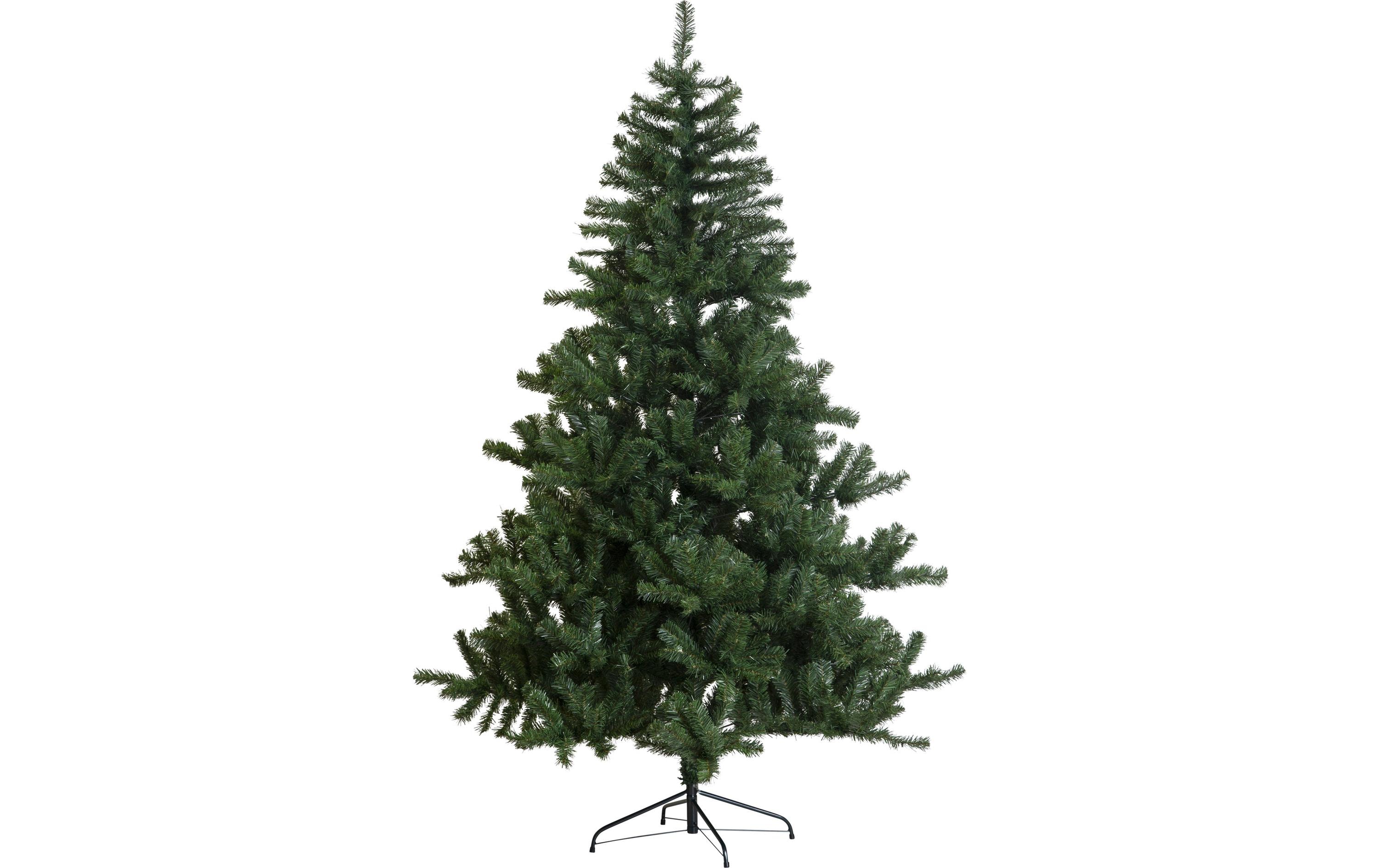 Star Trading Weihnachtsbaum 2.1m Quebec ohne LED, HxB: 2.1x1.4m kaufen Schweiz | Mediatech.ch
