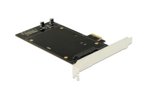 DeLock 2x SATA PCI-Ex1 Kontroller Direktanschluss 2.5HDD/SSD am Bracket