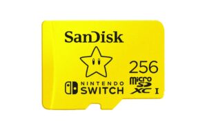 SanDisk microSDXC Card Nintendo Switch 256G U3, lesen 100MB/sec, schreiben 90MB/s