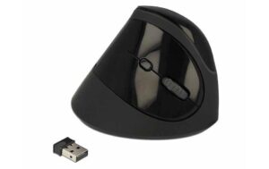Delock 12599 Ergonomische USB Maus vertikal, kabellos kaufen Schweiz | Mediatech.ch
