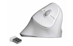 Delock 12596 Ergonomische USB Maus vertikal, kabellos