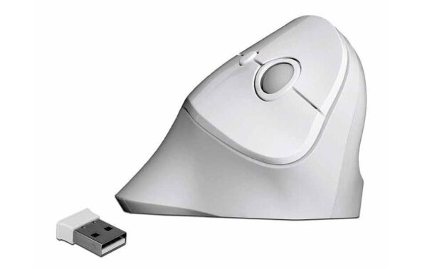 Delock 12596 Ergonomische USB Maus vertikal, kabellos kaufen Schweiz | Mediatech.ch