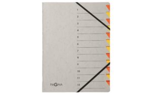 Pagna Ordnungsmappe A4 Easy Grey 12 Fächer, orange