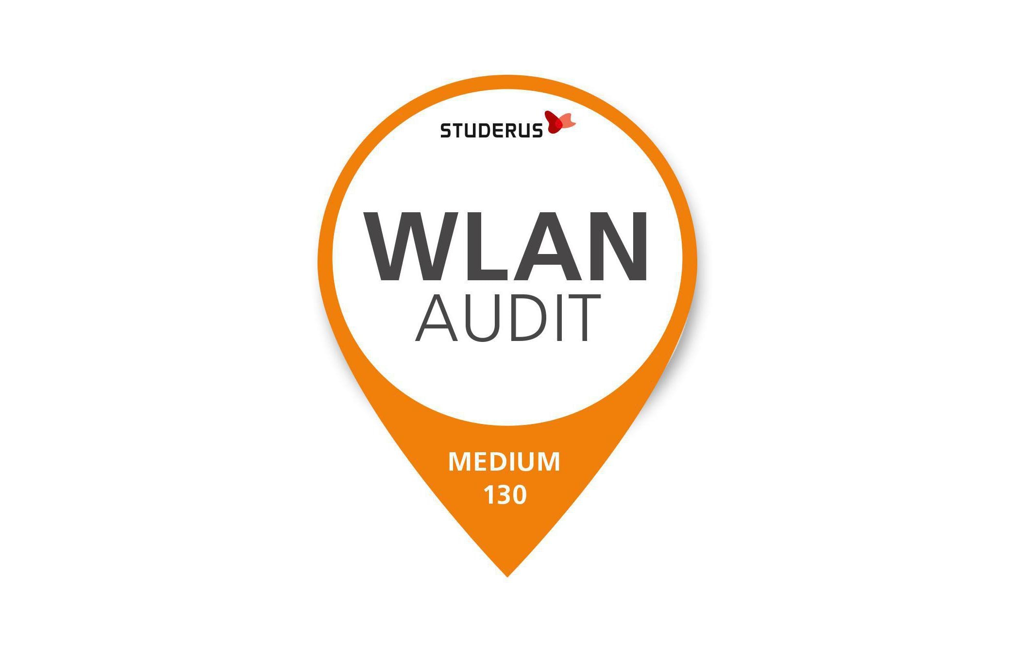 1009571 - Mediatech Zyxel Studerus WLAN Audit Medium 130 2500-10000m2, 130km ab Schwerzenbach kaufen | Mediatech.ch