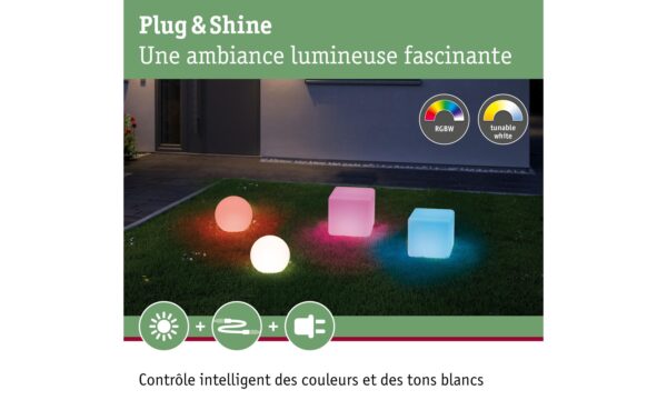 1029037_2 - Mediatech Paulmann Globe RGBW 1x 2.8W 110lm IP67, 24V, inkl. ZigBee