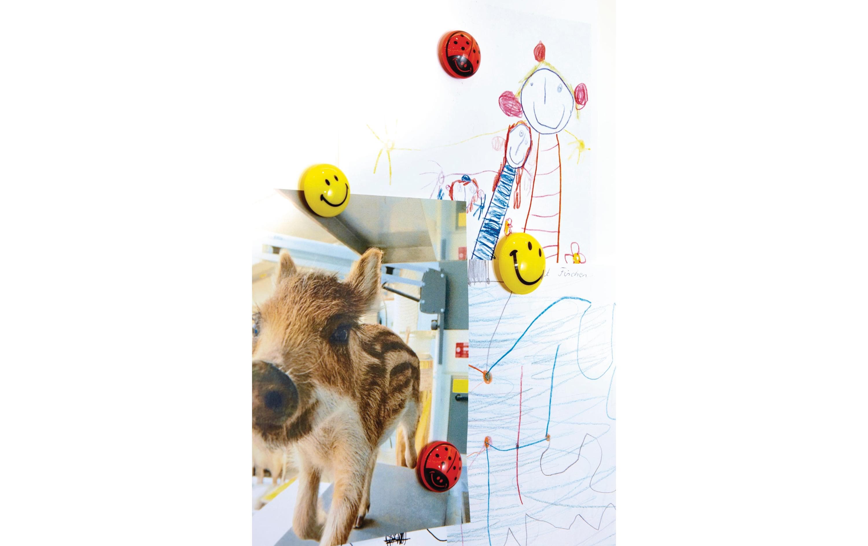 1072877_1 - Mediatech Magnetoplan Magnet Smiley 20 mm, 8 Stück