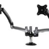 1085476 - Mediatech Peerless-AV LCT620AD Tischhalter 2 Monitore bis 38, Klemme