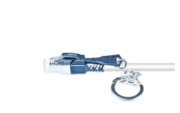 Wirewin Patchkabel: S/FTP, 1m, grau Cat.6A, LSOH, Klinke Verriegelbar