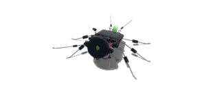 Whadda SOLAR BUG kaufen Schweiz | Mediatech.ch