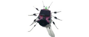 Whadda SOLAR BUG 