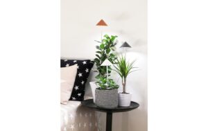 Neogard SunLite Grau, 7W 5084K, 1206 lm, IP54, Vollspektrum