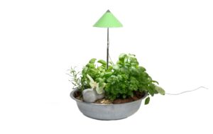 1154643 - Mediatech Venso Solutions Neogard SunLite Grün, 7W 5084K, 1206 lm, IP54, Vollspektrum kaufen | Mediatech.ch