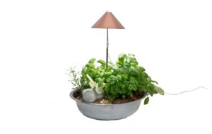 Neogard SunLite Kupfer, 7W 5084K, 1206 lm, IP54, Vollspektrum