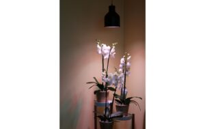 1154653_1 - Mediatech Neogard Lampenschirm kupfer, E27, 4m Kabel, ohne Leuchtm.
