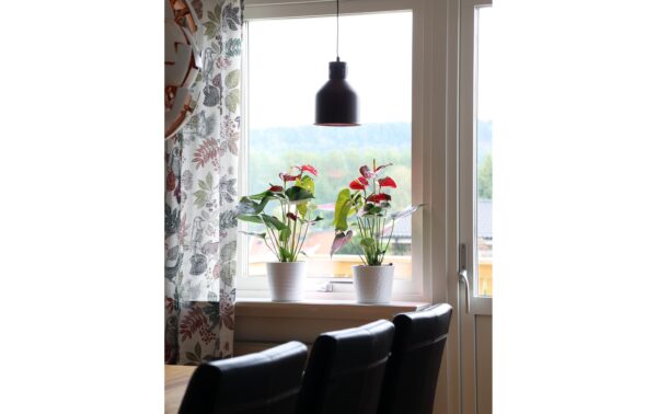 1154653_2 - Mediatech Neogard Lampenschirm kupfer, E27, 4m Kabel, ohne Leuchtm.