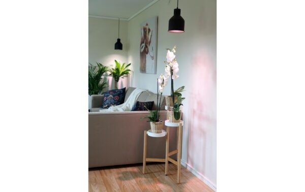 1154653_3 - Mediatech Neogard Lampenschirm kupfer, E27, 4m Kabel, ohne Leuchtm.