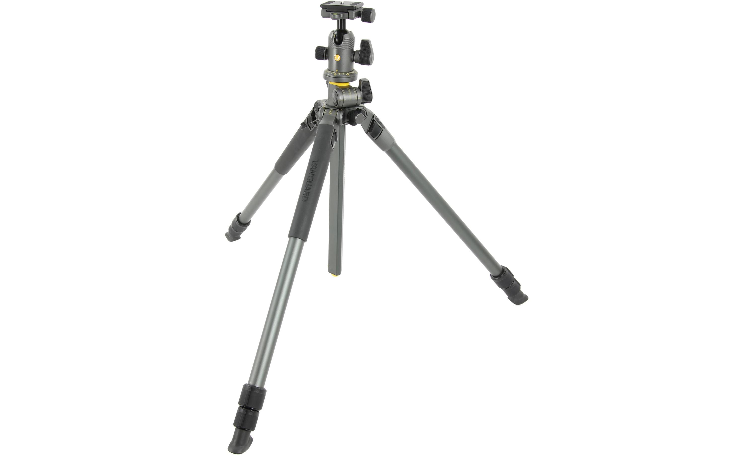 1167701_1 - Mediatech Vanguard Alta Pro 2+ 263AB100 Stativ, grau