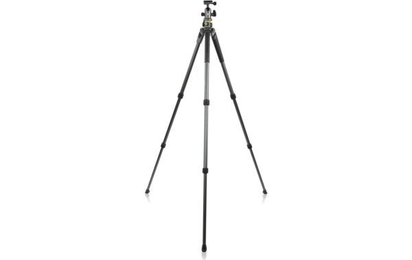 1167701_2 - Mediatech Vanguard Alta Pro 2+ 263AB100 Stativ, grau