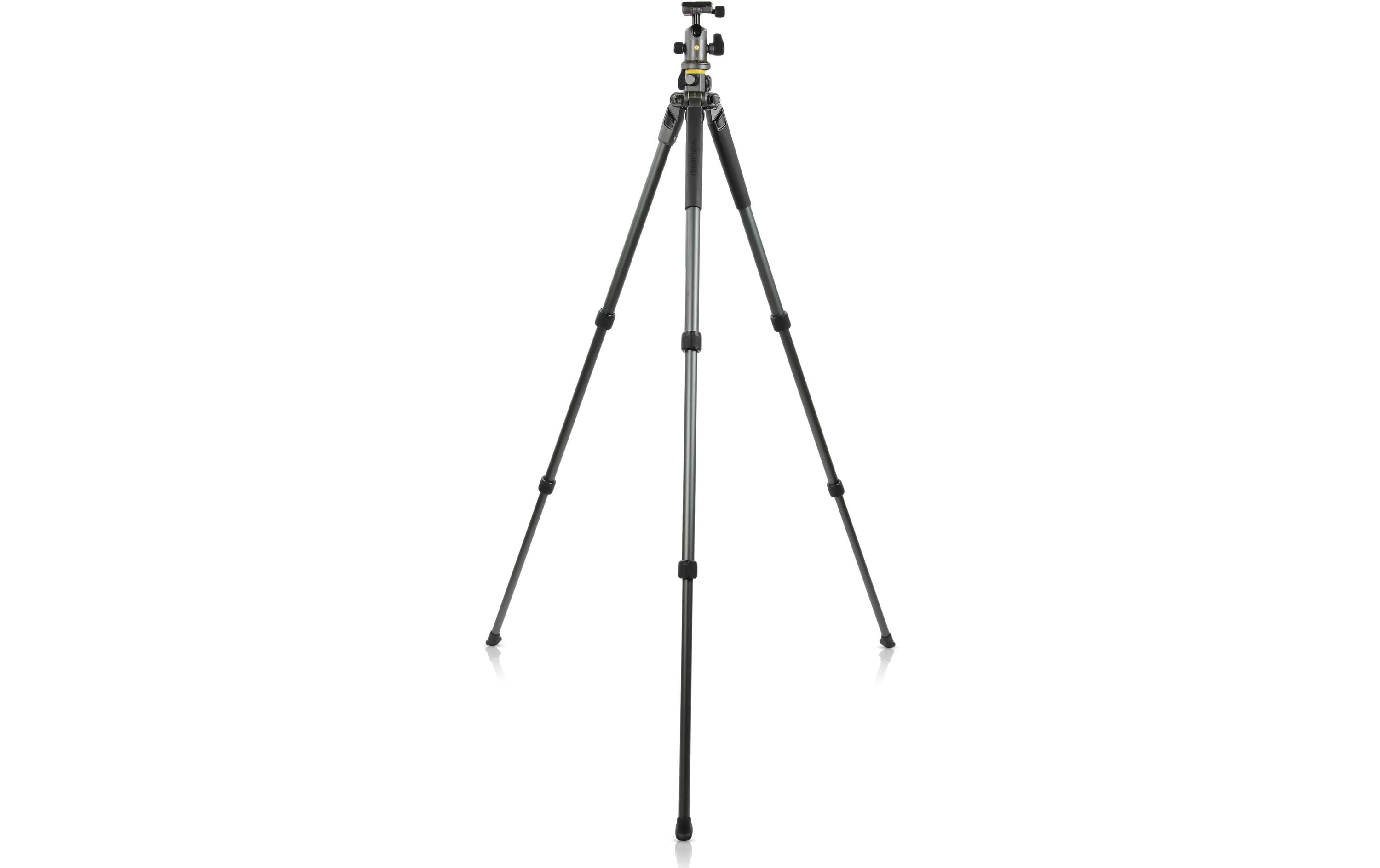 1167701_2 - Mediatech Vanguard Alta Pro 2+ 263AB100 Stativ, grau