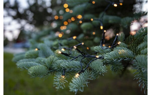 Star Trading Lichterkette Dura String 11m 1120 cm, 160 LEDs, Outdoor
