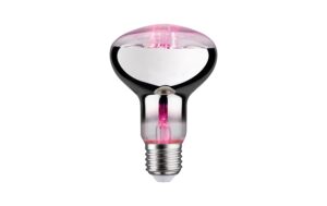 Paulmann Leuchtmittel LED PLANT E27 R80 1x LED E27 6.5W 200lm 1300K, Nicht Dimmbar kaufen Schweiz | Mediatech.ch