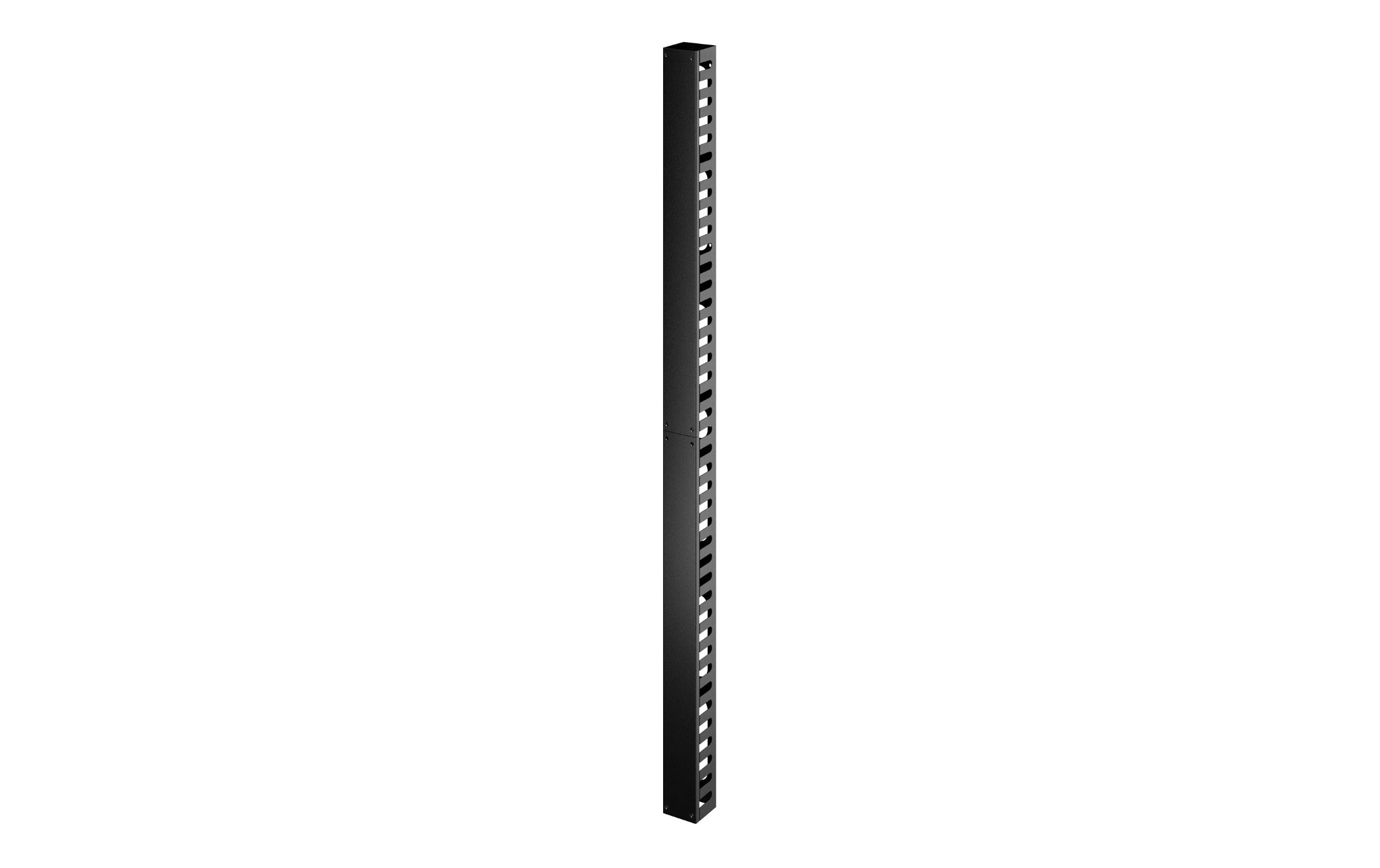 1227969 - Mediatech APC Easy Rack vertikaler Kabelmanager, 42U ER7VCM42, schwarz kaufen Schweiz | Mediatech.ch