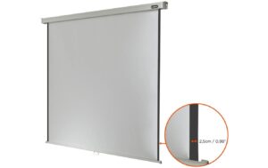 123204_2 - Mediatech Celexon, Rollo Professional, Leinwand, 1:1 manuell, 220x220cm