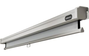 123204_4 - Mediatech Celexon, Rollo Professional, Leinwand, 1:1 manuell, 220x220cm