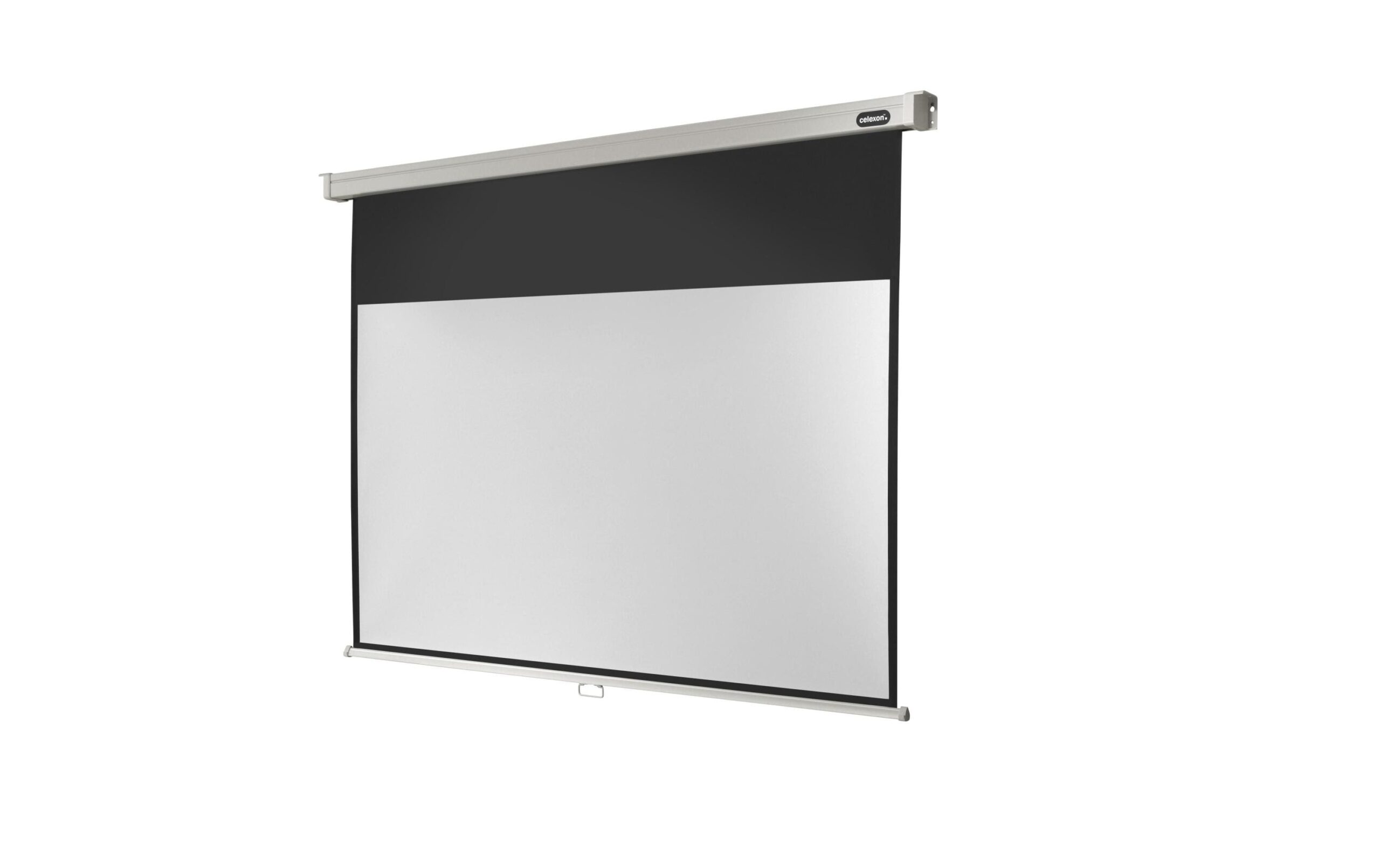 123216 - Mediatech Celexon, Rollo Professional, Leinwand, 16:9 manuell, 200x113cm