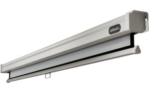 123216_4 - Mediatech Celexon, Rollo Professional, Leinwand, 16:9 manuell, 200x113cm