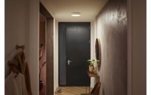 Philips Hue White Amb. Enrave Deckenleuchte S weiss 1200lm inkl. Dimmschalter