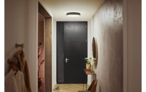 Philips Hue White Amb. Enrave Deckenleuchte M schwarz 2400lm inkl. Dimmschalter