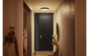 Philips Hue White Amb. Enrave Deckenleuchte M schwarz 2400lm inkl. Dimmschalter
