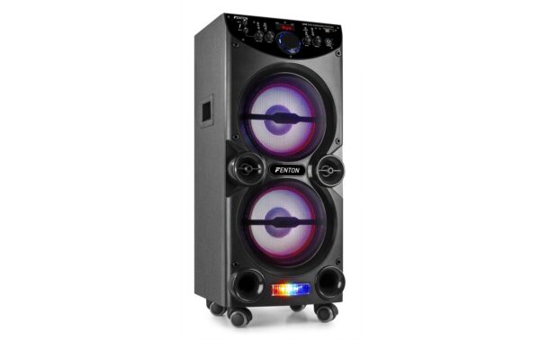 1246161_2 - Mediatech Fenton LIVE2104 Karaokestation 2x 10, 400W