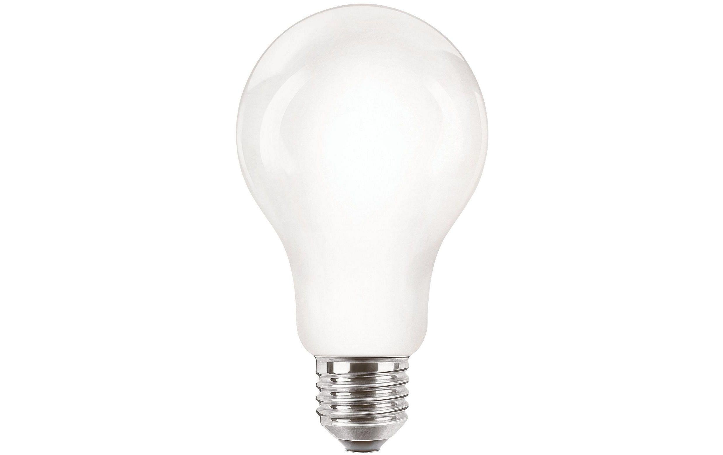 1253953 - Mediatech Philips CorePro LEDBulb 13-120W E27 827 A67 matt Glas kaufen Schweiz | Mediatech.ch