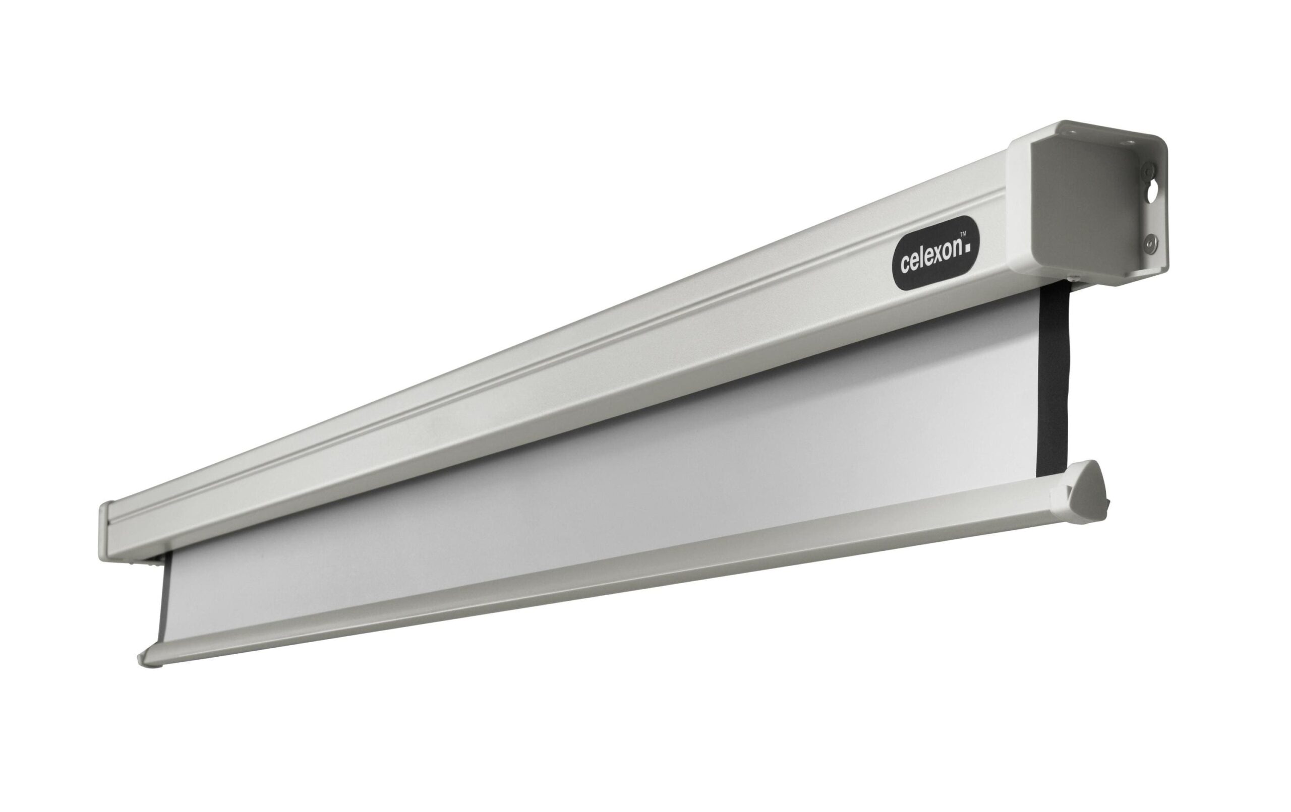 126819 - Mediatech Celexon, Motor Professional, Leinwand, 1:1 elektrisch, 200x200cm