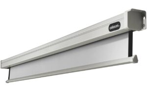 126819_4 - Mediatech Celexon, Motor Professional, Leinwand, 1:1 elektrisch, 200x200cm