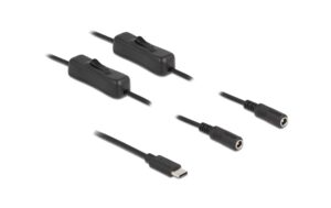Delock USB-C Stecker zu 2x DC 5.5x2.1mm,1m Mit Schalter,Stecker zu Buchse,1m,Schwarz