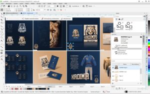 CorelDraw Graphics Suite 365 Day 05-50 User, Win/MAC, 1 Jahr, RNW, ML