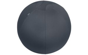 Leitz Sitzball Ergo Cosy grau