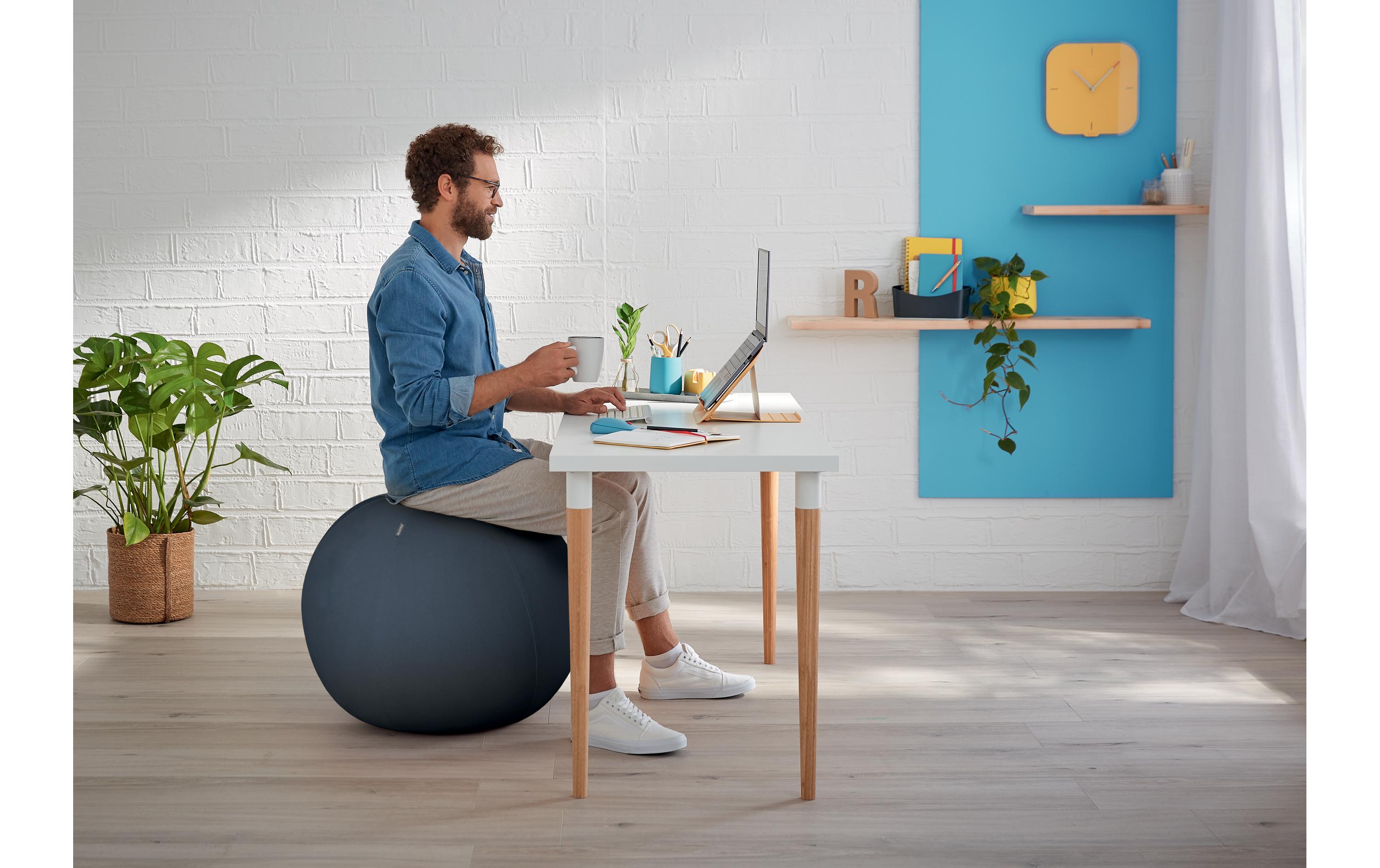 1317983_1 - Mediatech Leitz Sitzball Ergo Cosy grau