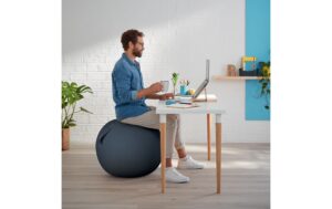 1317983_2 - Mediatech Leitz Sitzball Ergo Cosy grau