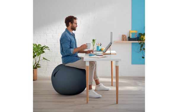 1317983_2 - Mediatech Leitz Sitzball Ergo Cosy grau